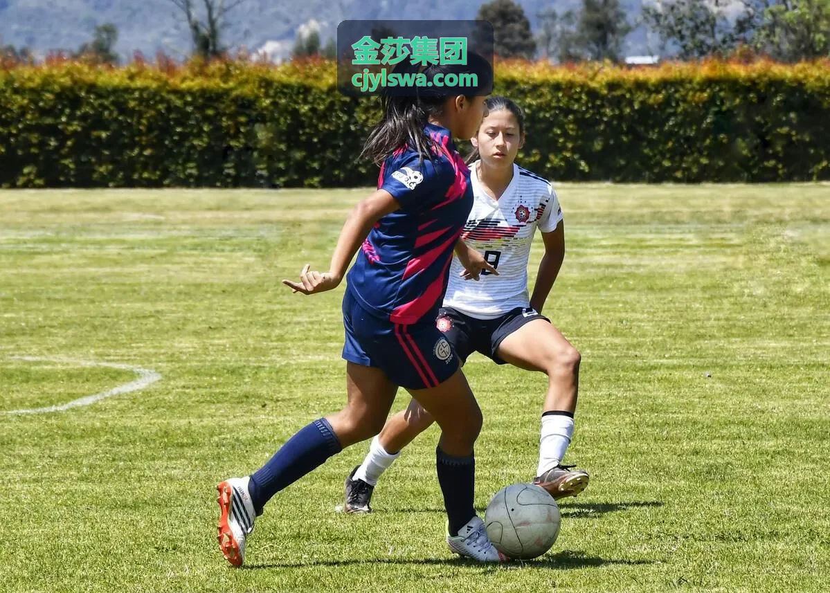 金莎集团高端制造园区