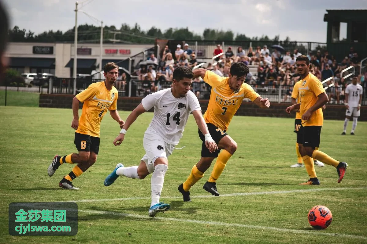 文旅度假区